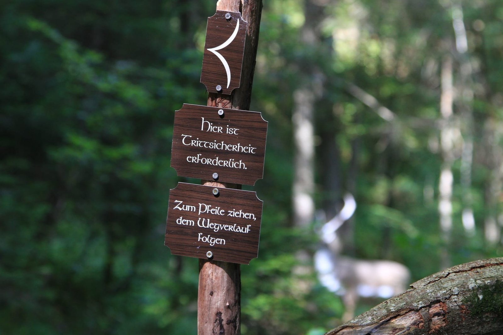 Bogenschütze im Wald