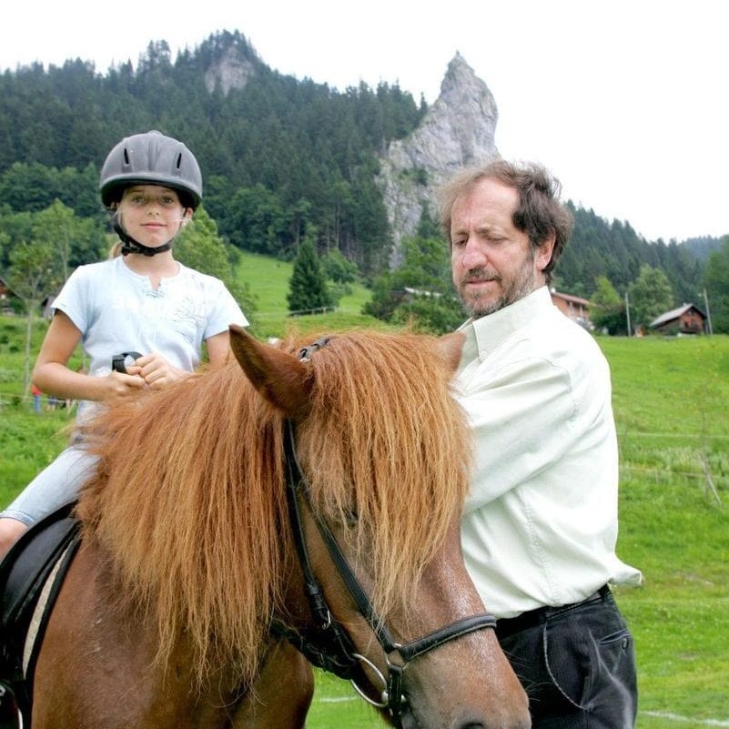 Islandpferd auf der Weide