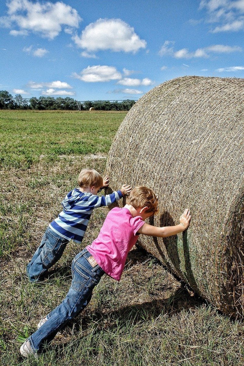 Teamwork