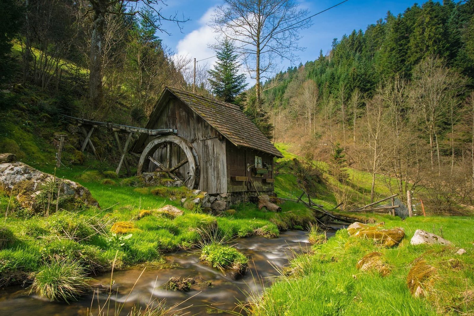 Waldweg
